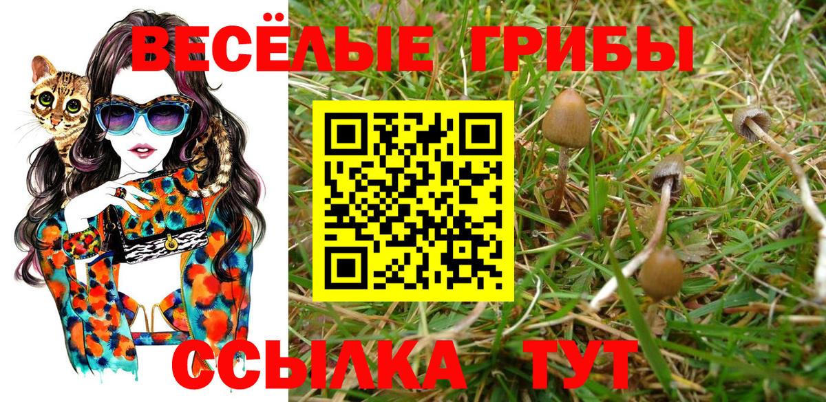 Псилоцибиновые грибы мухоморы Сланцы