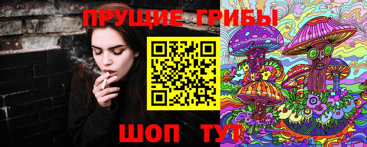 Галлюциногенные грибы Cubensis  Вход с VPN  Сланцы  Галлюциногенные грибы GOLDEN TEACHER 